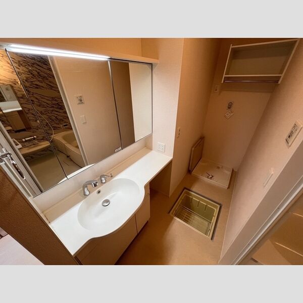 洗面所 (103　洗面スペース)