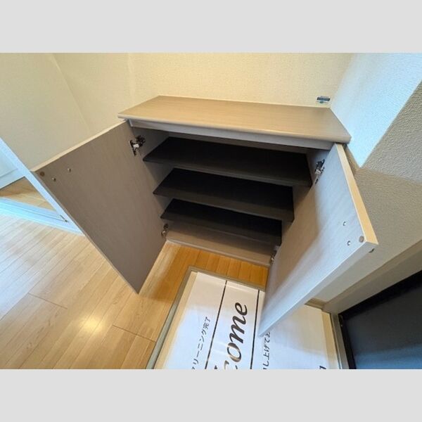 玄関 (シューズボックス)