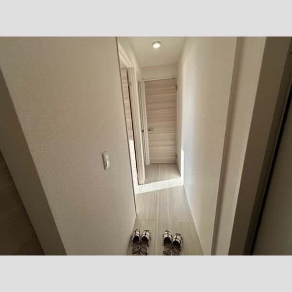 その他 (玄関～廊下)