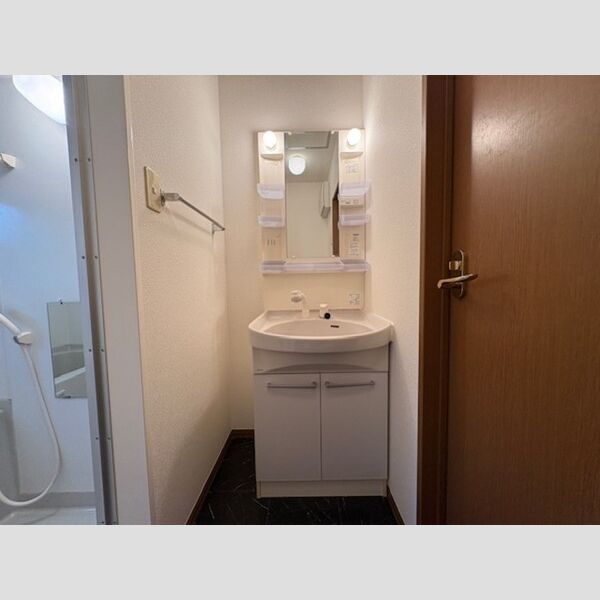洗面所 (洗髪洗面化粧台)