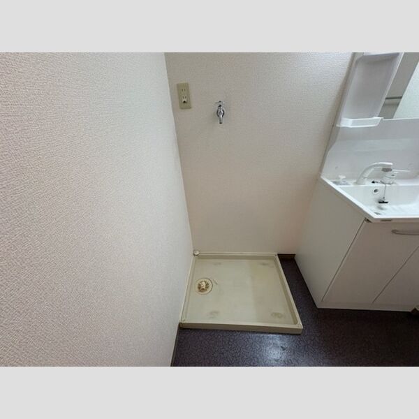 洗面所 (室内洗濯機置場)
