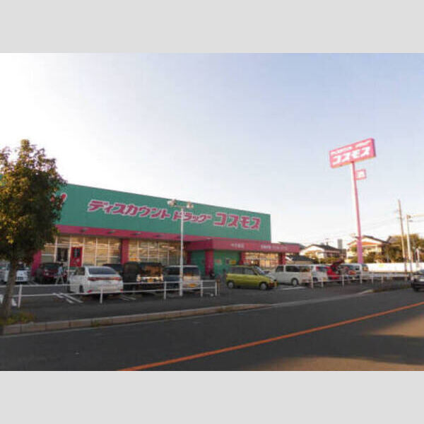 現地周辺 (コスモス中ノ島店まで1200m)