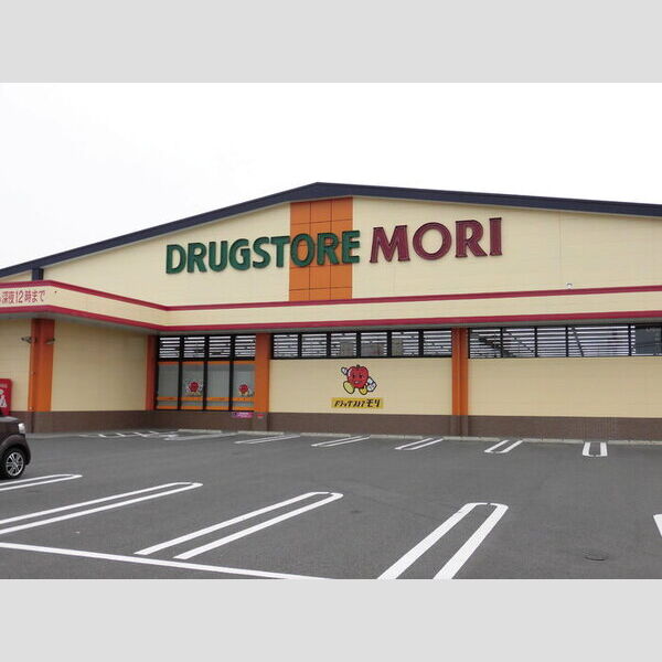 現地周辺 (ドラッグストアモリ中津北店　1017m)