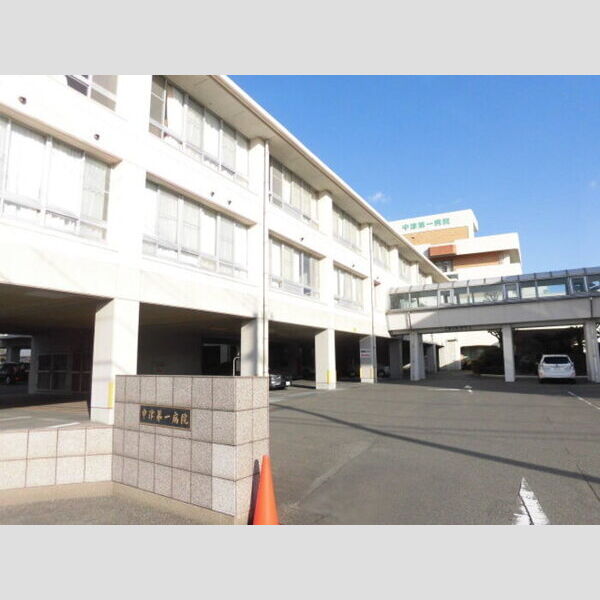 現地周辺 (中津第一病院まで728m)