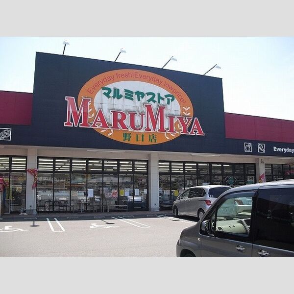 現地周辺 (マルミヤストア野口店まで874m)