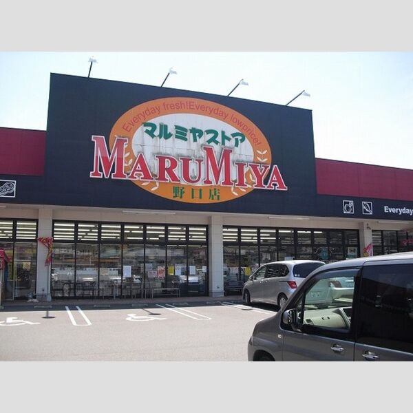 現地周辺 (マルミヤストア野口店まで874m)