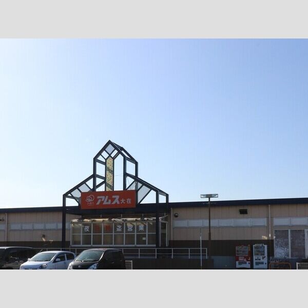 現地周辺 (アムス大在店まで600m)