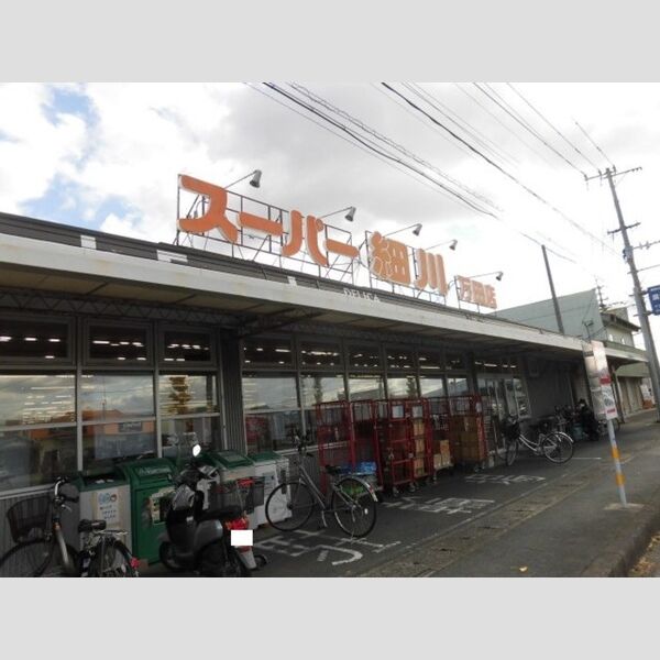 現地周辺 (スーパー細川万田店まで798m)