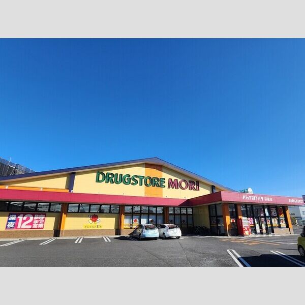 現地周辺 (ドラッグストアモリ羽屋店まで260m)