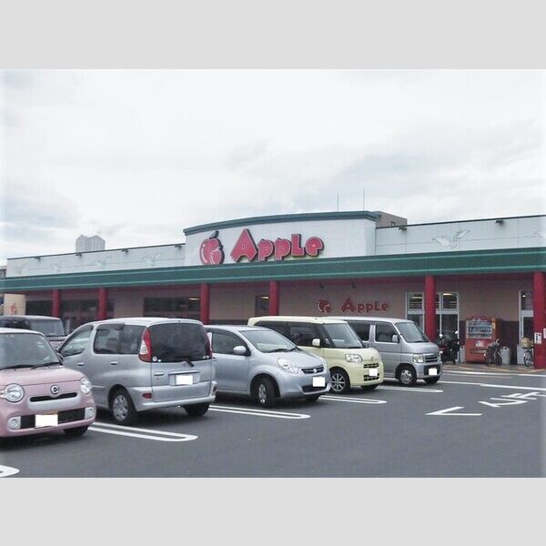 現地周辺 (サンライフアップル店まで750m)