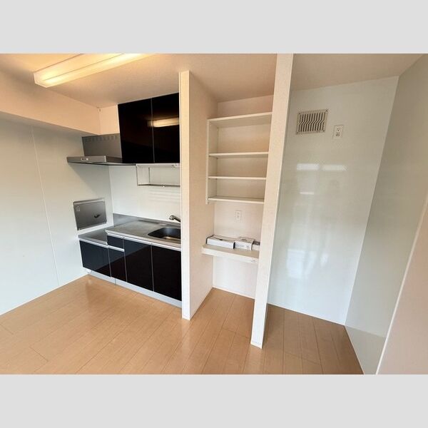 キッチン (キッチン・収納・冷蔵庫置場)