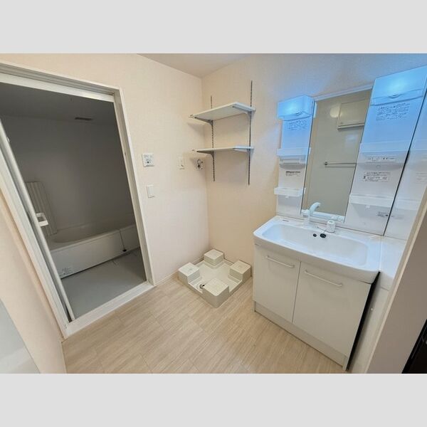 洗面所 (洗髪洗面化粧台・室内洗濯機置場)