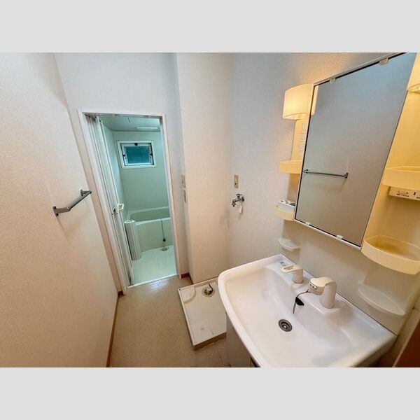 洗面所 (洗髪洗面化粧台・室内洗濯機置場)