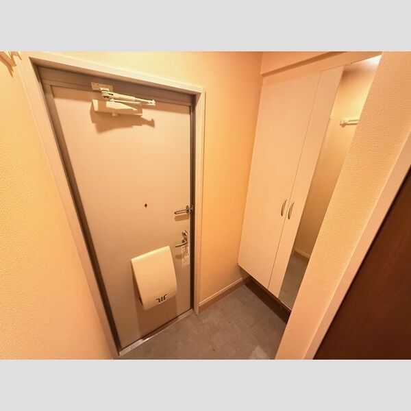 玄関 (シューズボックス)