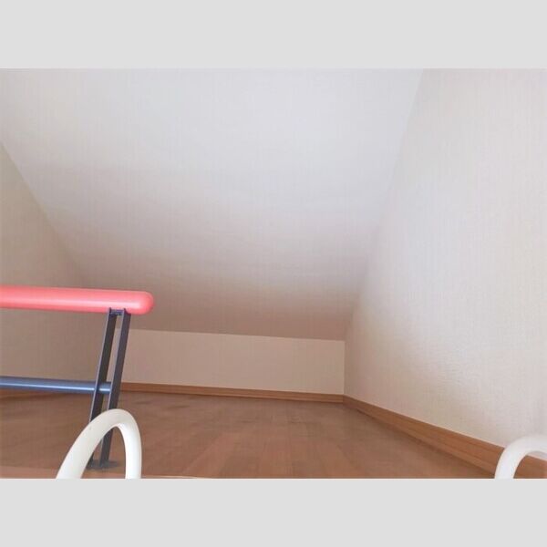 その他 (202 小屋裏収納)