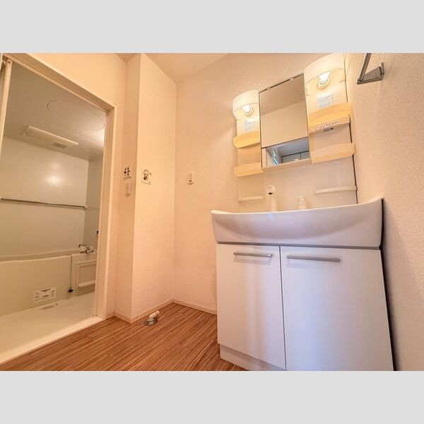 洗面所 (洗髪洗面化粧台)