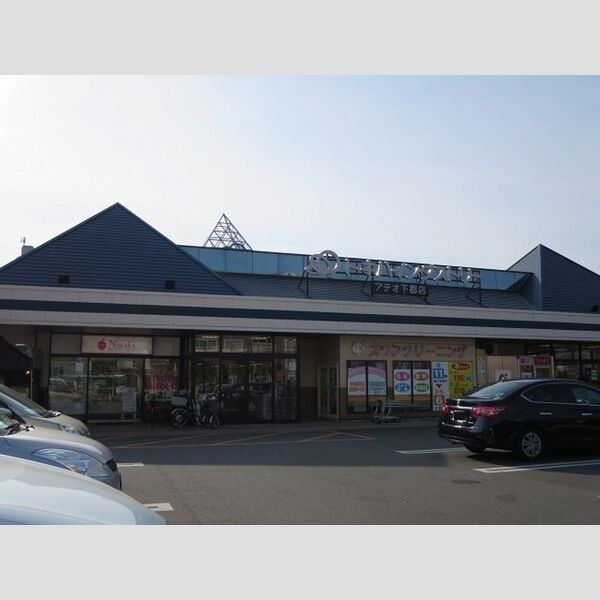 その他 (トキハインダストリーアテオ下郡店まで219m)
