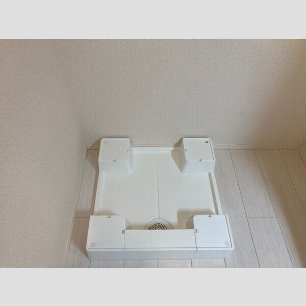 その他 (101 室内洗濯機置き場)