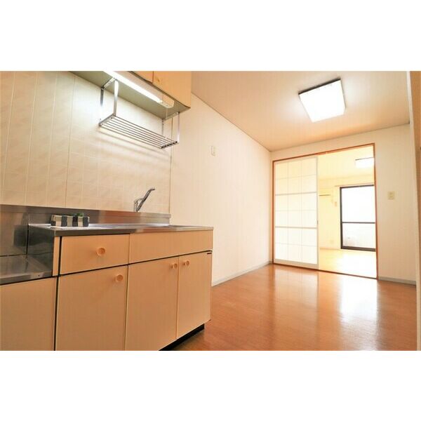 居室・リビング (202　DK)