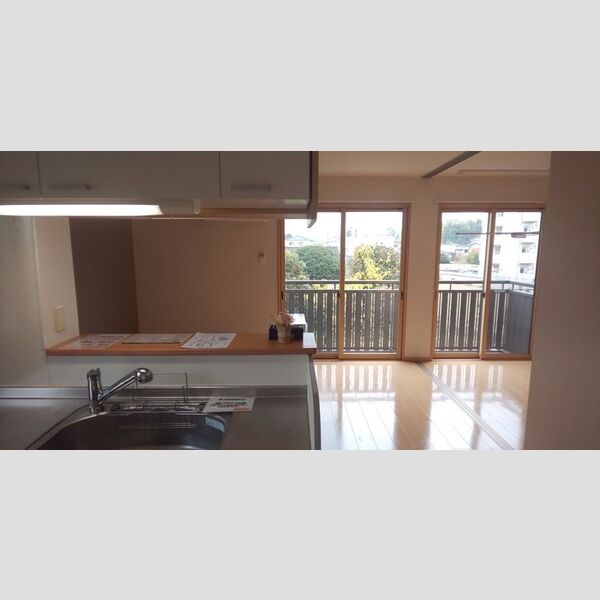 居室・リビング (B201　LDK)