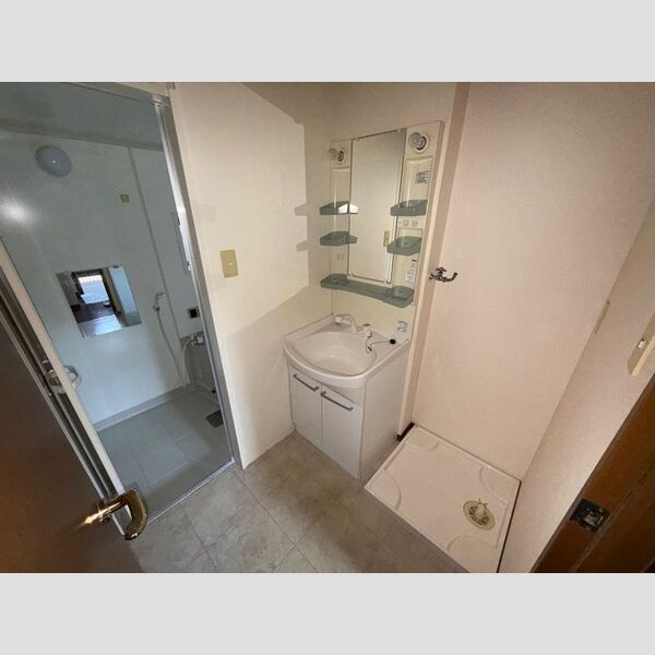 洗面所 (洗髪洗面化粧台・室内洗濯機置場)