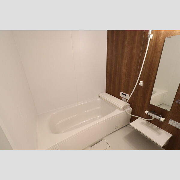 バス (207　バス)