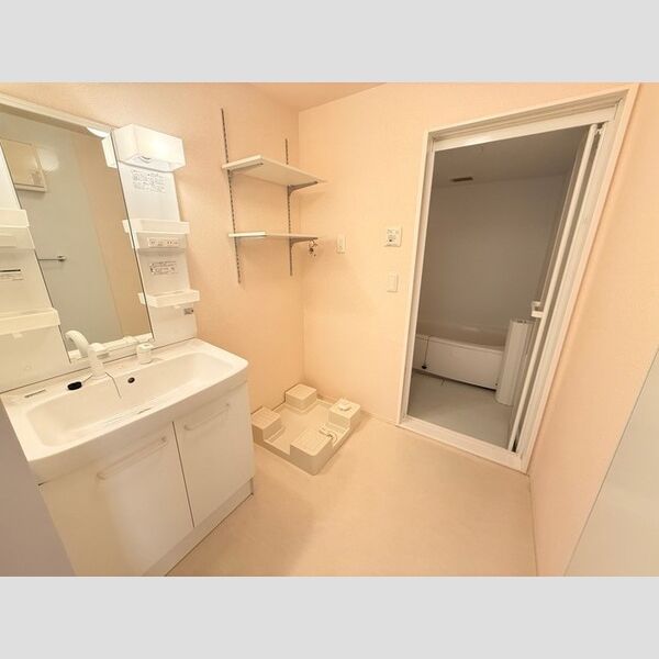 洗面所 (洗髪洗面化粧台)