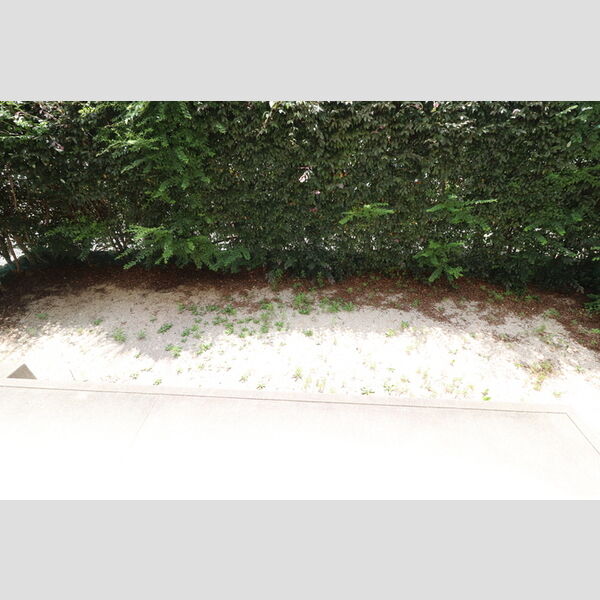 その他 (102　専用庭)