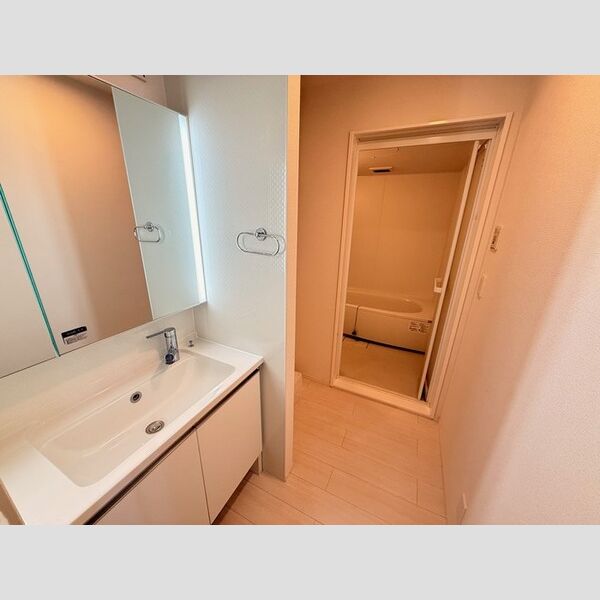 洗面所 (洗髪洗面化粧台)