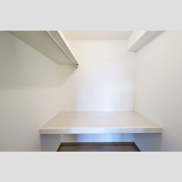 収納 (301　ウォークインクローゼット)