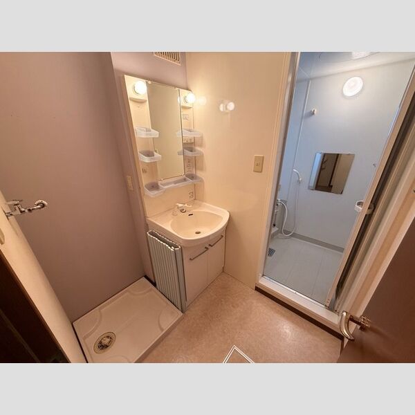 洗面所 (洗髪洗面化粧台)