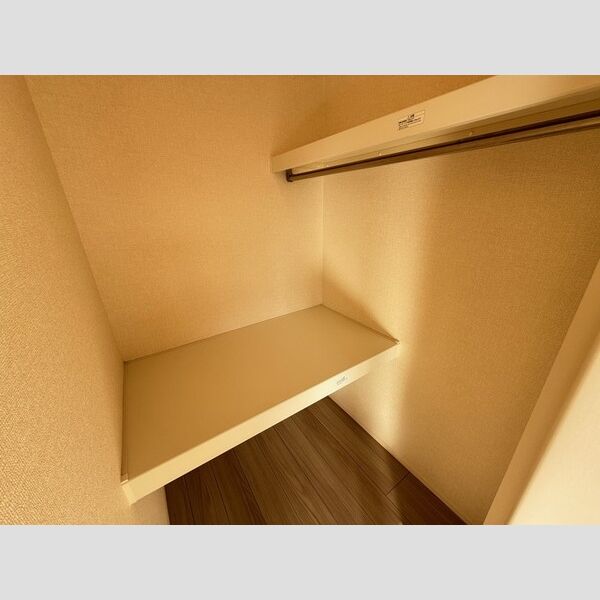 収納 (ウォークインクローゼット)