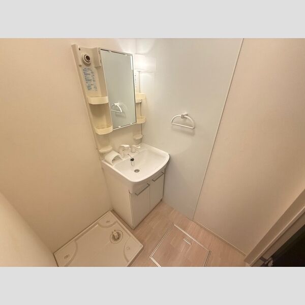 洗面所 (洗髪洗面化粧台・室内洗濯機置場)