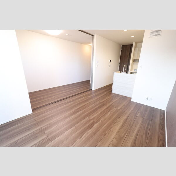 居室・リビング (303　LDK)