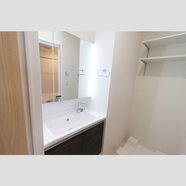 洗面所 (洗髪洗面化粧台)