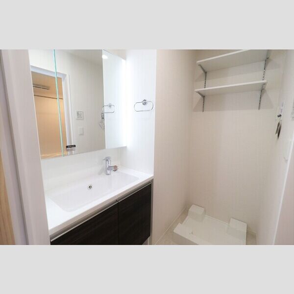 洗面所 (洗髪洗面化粧台)