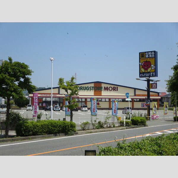 現地周辺 (ドラッグストアモリ松橋店まで393m)