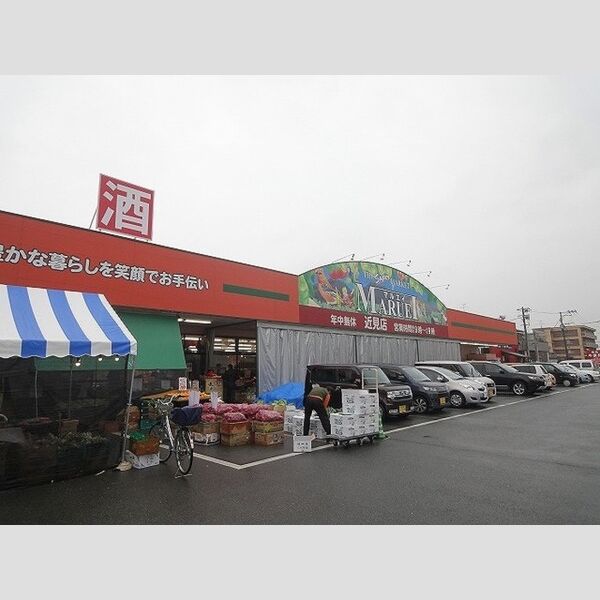 現地周辺 (マルエイ近見店(561m))