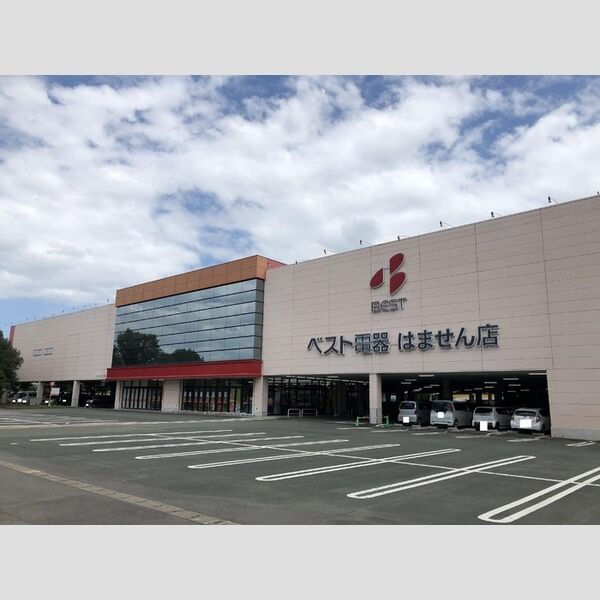 現地周辺 (ベスト電器はません店　600m)