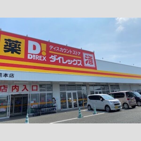現地周辺 (ダイレックス熊本　250m)