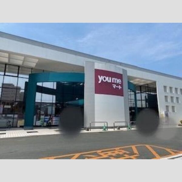 現地周辺 (ゆめマート長嶺　319m)