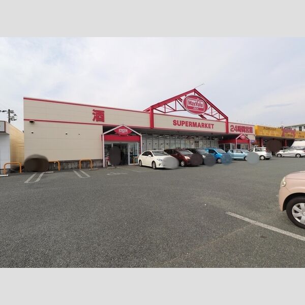 現地周辺 (マックスバリュ国府店　289m)