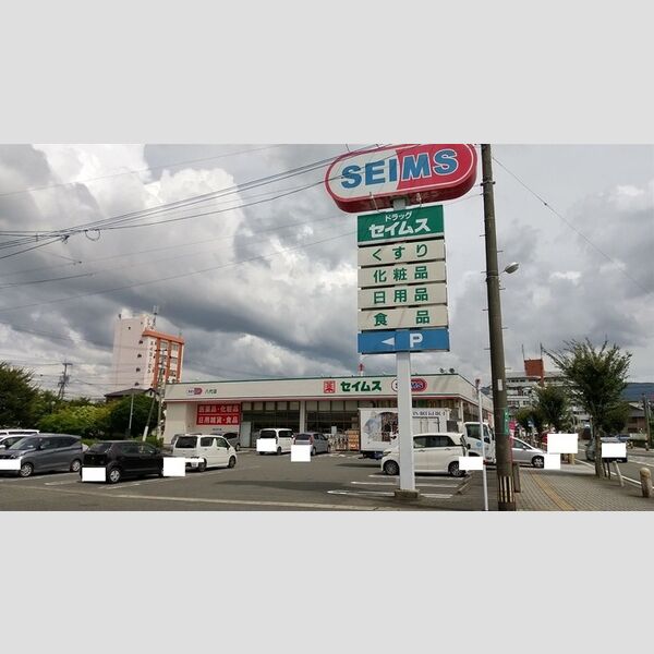 現地周辺 (ドラッグセイムス八代店740m)