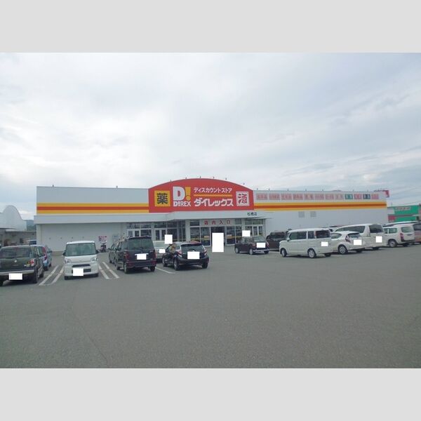 現地周辺 (ダイレックス松橋店 1200m)