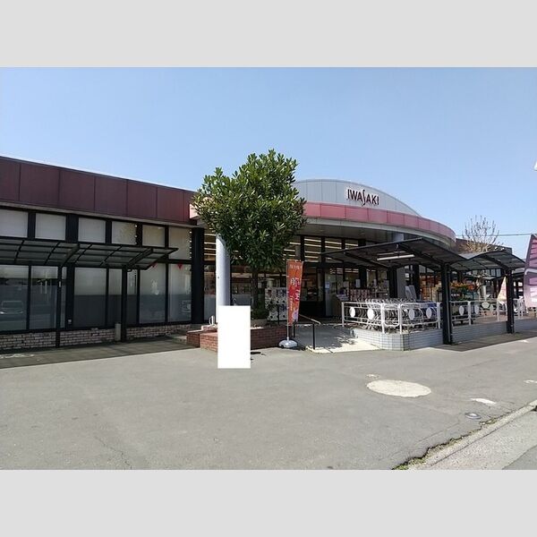 現地周辺 (イワサキACE島崎店 850m)