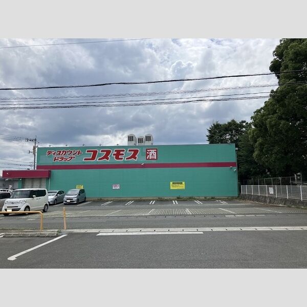 現地周辺 (ドラッグストアコスモス託麻南店　660m)