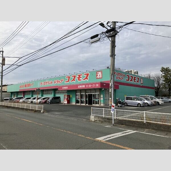 現地周辺 (ディスカウントドラッグコスモス託麻南店まで650m)