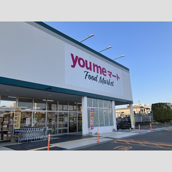 現地周辺 (ゆめマート新外まで553m)