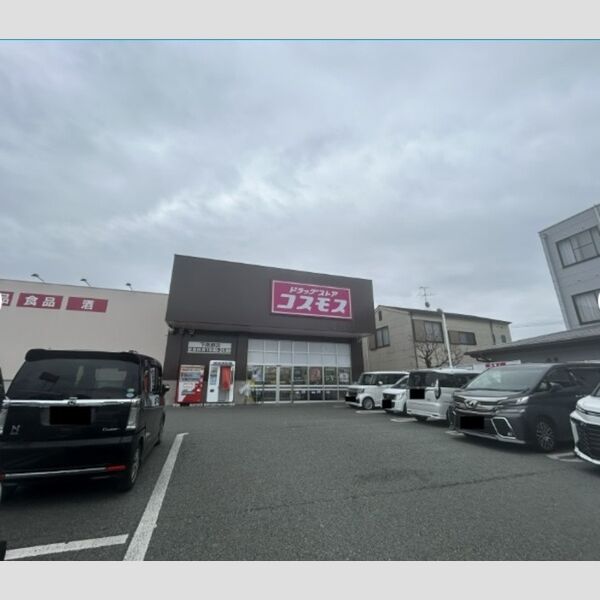 現地周辺 (ドラッグストアコスモス下南部店　800m)