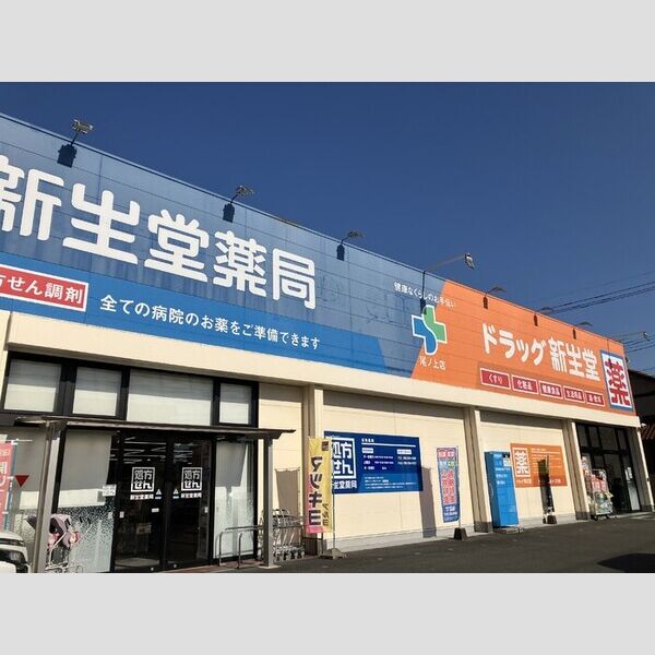 現地周辺 (ドラッグ新生堂尾ノ上店まで350m)